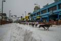 2017 Open World Championship Sled Dog Races