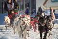 World Championship Sled Dog Races